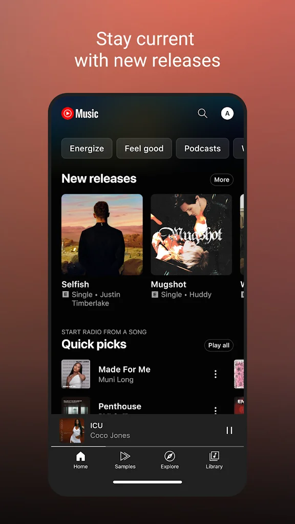 YouTube Music ReVanced Gameplay Screenshot 2